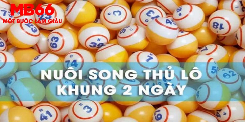 Lô song thủ là phương pháp dự đoán hai con số có khả năng xuất hiện cao nhất