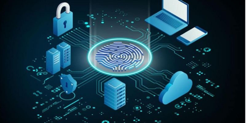 Mọi người chơi với tâm thế sẵn sàng hợp tác 