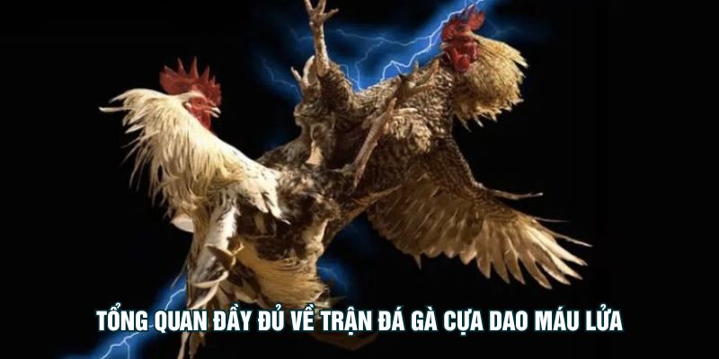 Tổng quan đầy đủ về trận đá gà cựa dao máu lửa